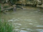 568-dsc00676.jpg.small.jpeg
