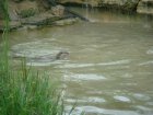 569-dsc00677.jpg.small.jpeg