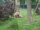 570-dsc00678.jpg.small.jpeg