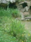 572-dsc00680.jpg.small.jpeg