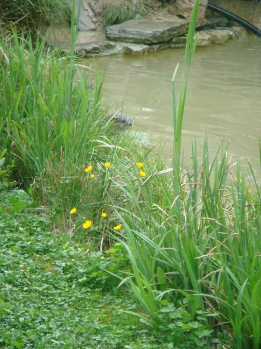 573-dsc00681.jpg.medium.jpeg