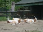 575-dsc00683.jpg.small.jpeg