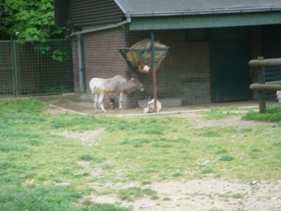 577-dsc00685.jpg.medium.jpeg