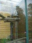 578-dsc00686.jpg.small.jpeg