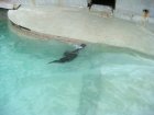 586-dsc00694.jpg.small.jpeg