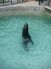 587-dsc00695.jpg.small.jpeg