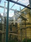 588-dsc00696.jpg.small.jpeg