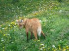 589-dsc00697.jpg.small.jpeg