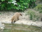 591-dsc00699.jpg.small.jpeg
