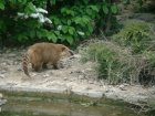 592-dsc00700.jpg.small.jpeg