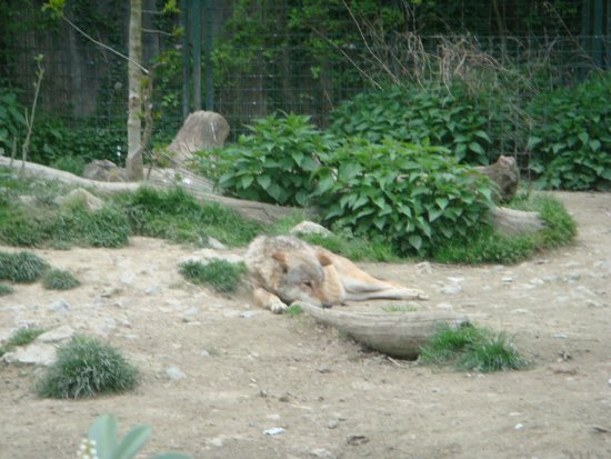 596-dsc00704.jpg.medium.jpeg