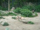 596-dsc00704.jpg.small.jpeg