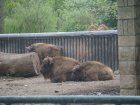 598-dsc00706.jpg.small.jpeg