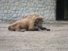 600-dsc00708.jpg.small.jpeg