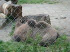 603-dsc00711.jpg.small.jpeg