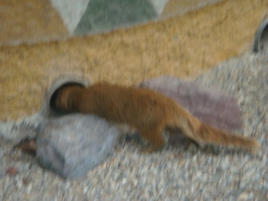604-dsc00712.jpg.medium.jpeg