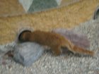 604-dsc00712.jpg.small.jpeg