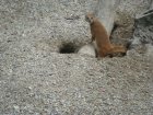 605-dsc00713.jpg.small.jpeg