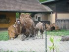 607-dsc00715.jpg.small.jpeg
