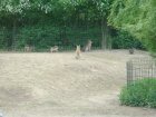 608-dsc00716.jpg.small.jpeg
