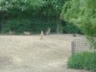 609-dsc00717.jpg.small.jpeg