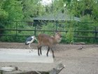613-dsc00721.jpg.small.jpeg
