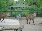 614-dsc00722.jpg.small.jpeg