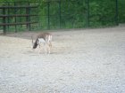 615-dsc00723.jpg.small.jpeg