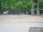 616-dsc00724.jpg.small.jpeg