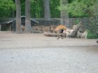 617-dsc00725.jpg.small.jpeg
