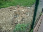 619-dsc00727.jpg.small.jpeg
