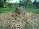621-dsc00729.jpg.small.jpeg