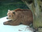 627-dsc00735.jpg.small.jpeg