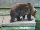 629-dsc00737.jpg.small.jpeg