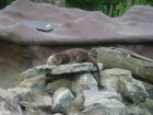 635-dsc00751.jpg.small.jpeg