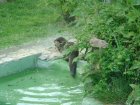 637-dsc00753.jpg.small.jpeg