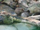 638-dsc00754.jpg.small.jpeg