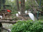 639-dsc00755.jpg.small.jpeg