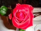 649-dsc00765.jpg.small.jpeg