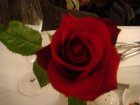 650-dsc00766.jpg.small.jpeg