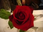 651-dsc00767.jpg.small.jpeg