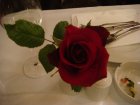652-dsc00768.jpg.small.jpeg