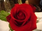 653-dsc00769.jpg.small.jpeg