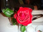 654-dsc00770.jpg.small.jpeg