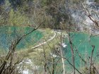 674-dsc00791.jpg.small.jpeg