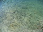 696-dsc00813.jpg.small.jpeg