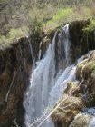 704-dsc00821.jpg.small.jpeg