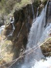 705-dsc00822.jpg.small.jpeg