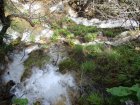 707-dsc00824.jpg.small.jpeg