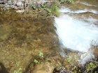 713-dsc00830.jpg.small.jpeg